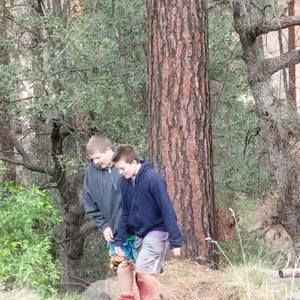 Meet your Posher, Fiona